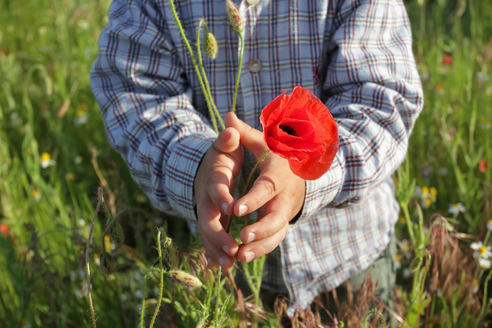 ANZAC Day 2022