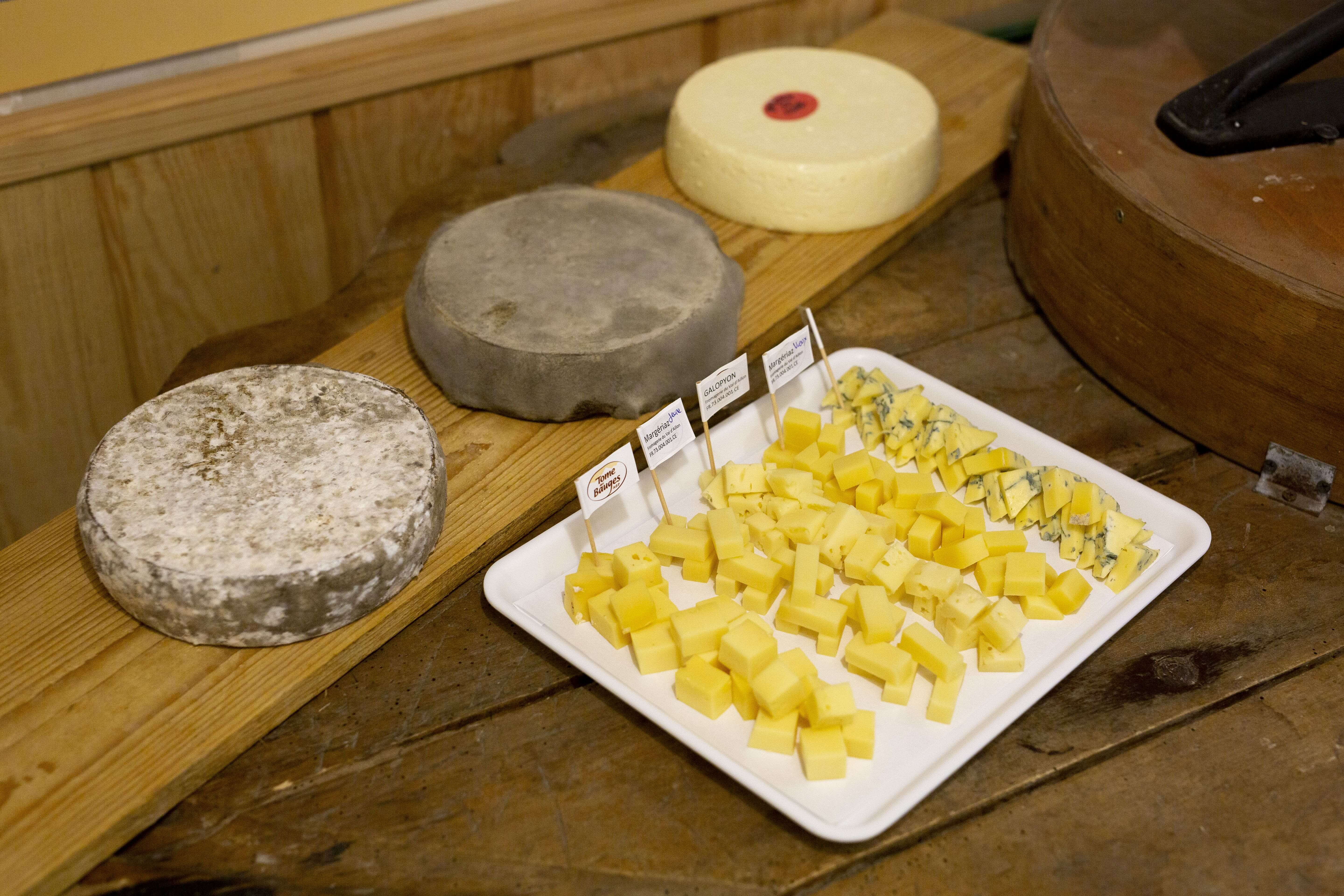 Cheese tasting in France