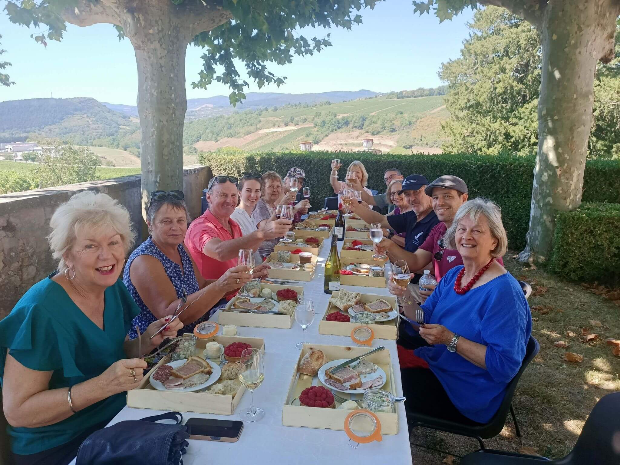 Group of mature adults raising a glass whilst enjoying a meal together outside.