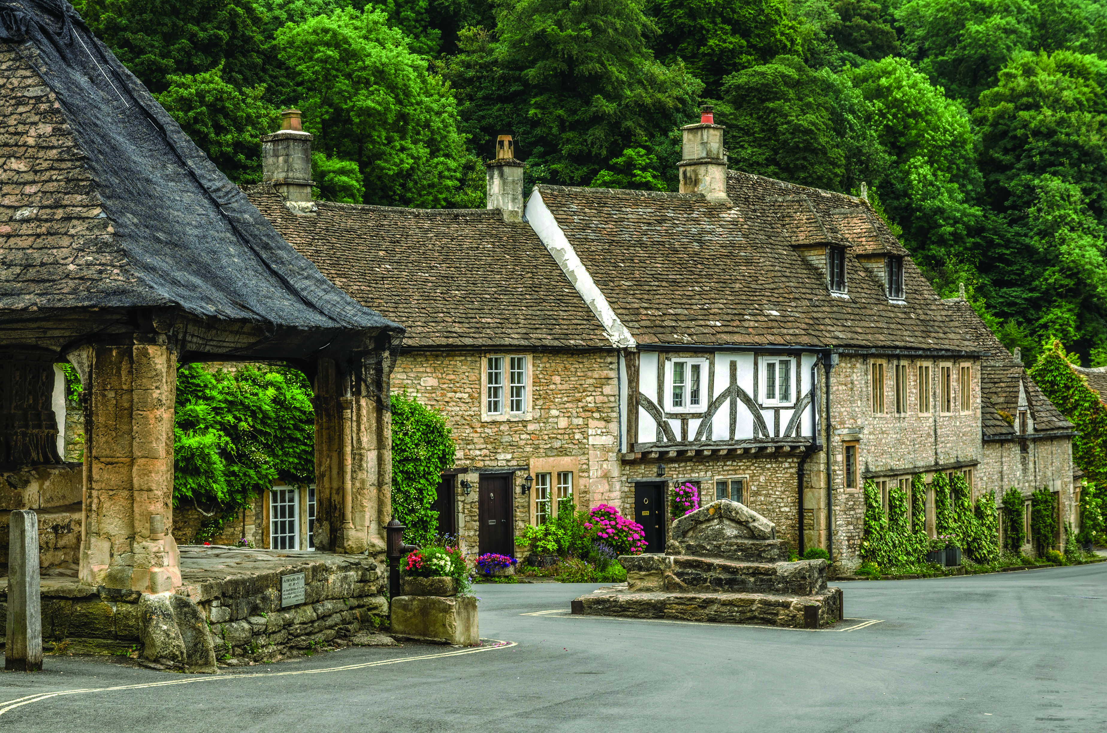 Cotswolds
