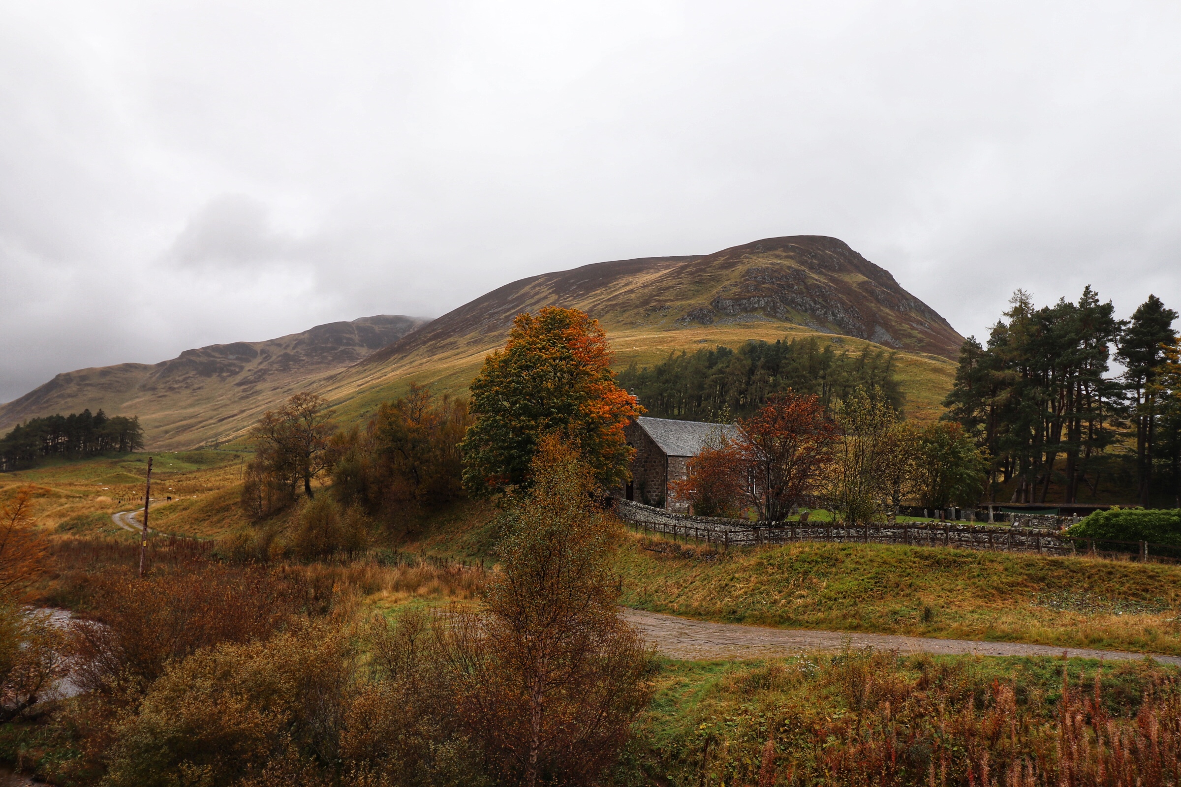 moors of Cairngorms National Park 