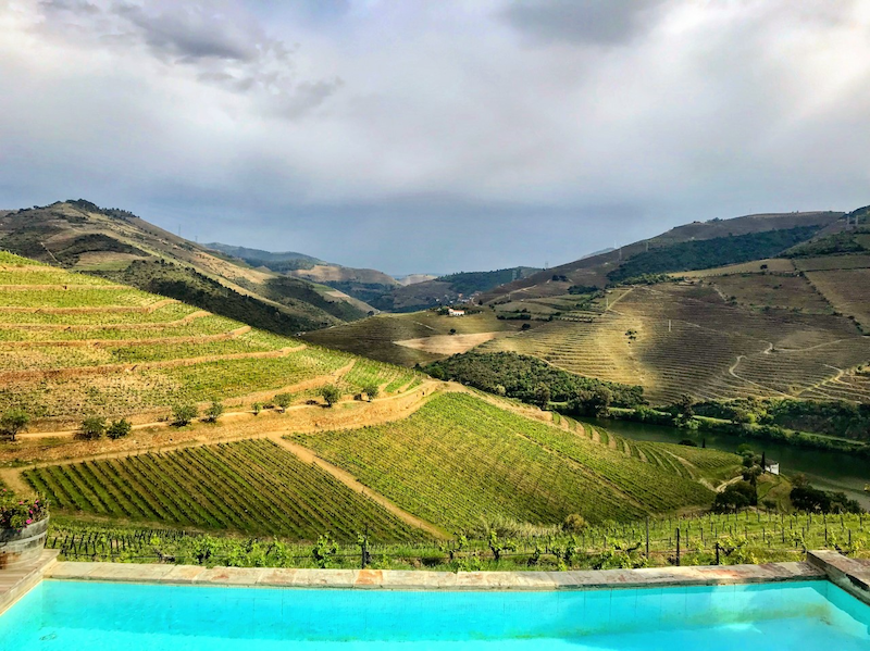 vineyards of the Douro Valley with a swimming pool in the foreground