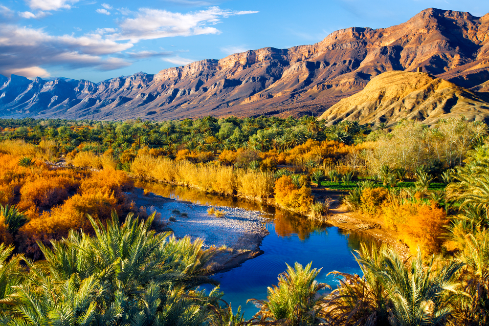 Desert oasis