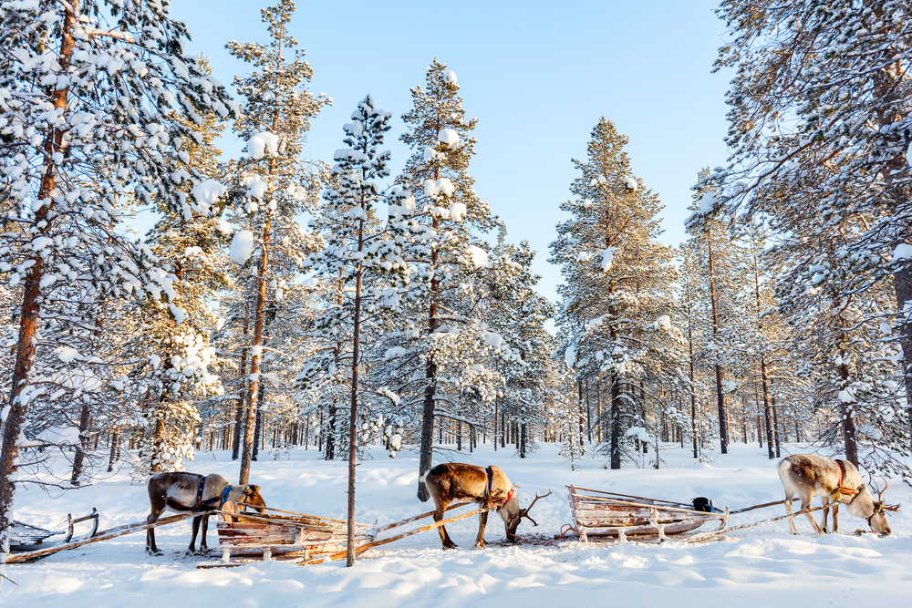 Winter Tours of Finland with Back-Roads