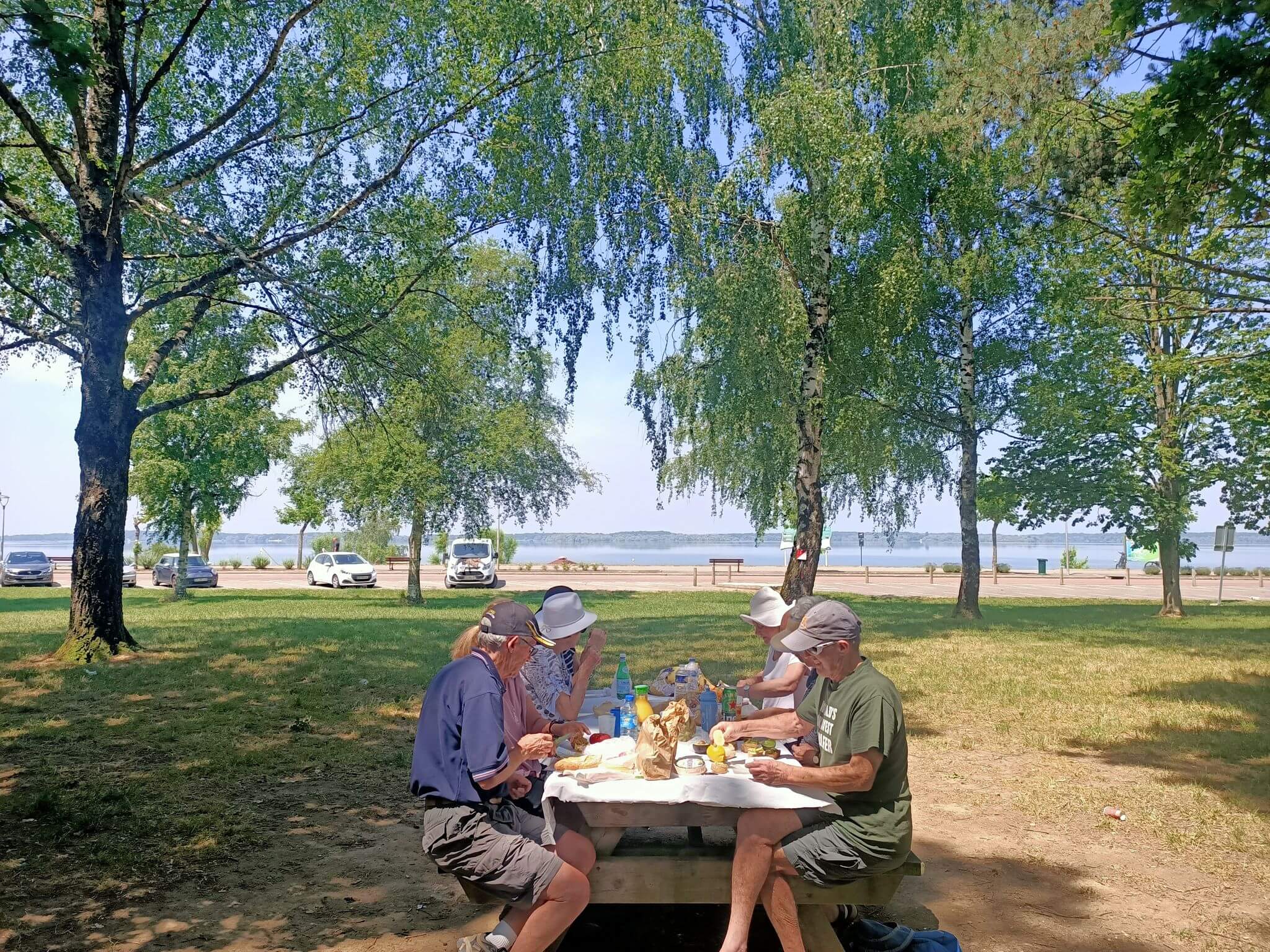 Group of mature adults enjoying a picnic together at a picnic table surrounded by trees with a large body of water in the background