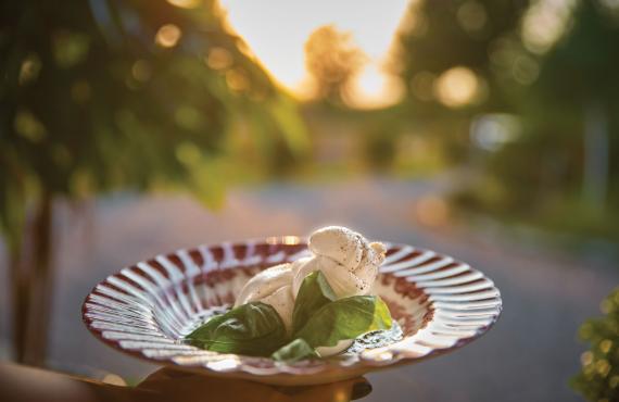 Back-Roads traveler enjoying foreign cuisine in Austria.