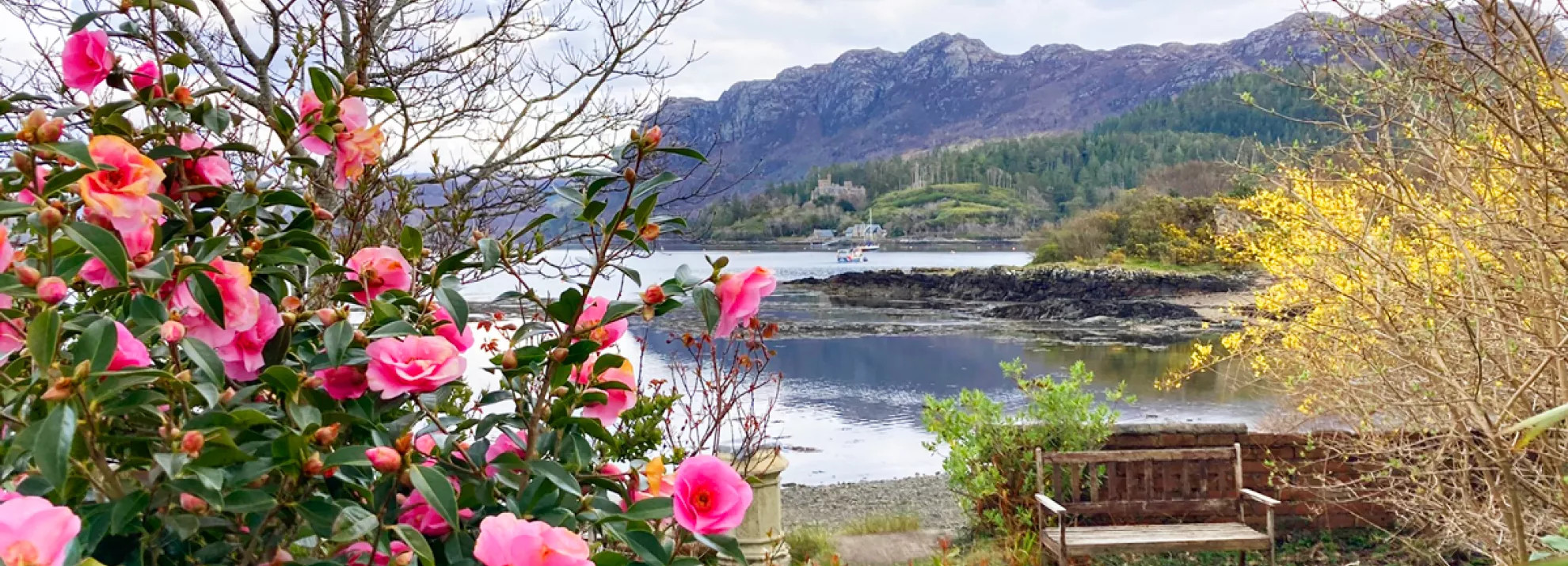 Plockton View