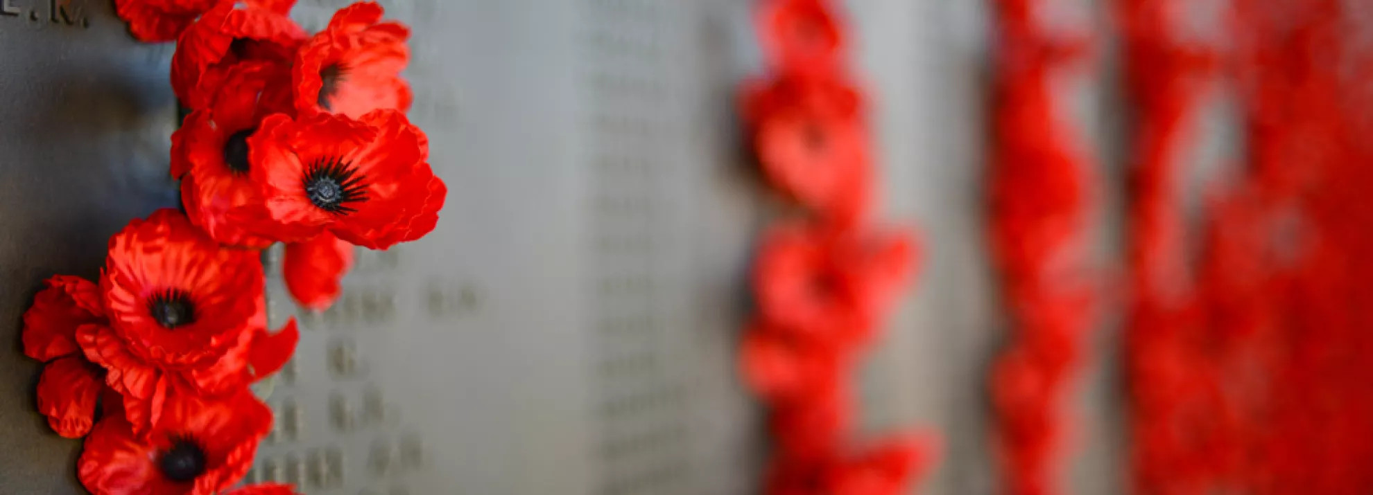 ANZAC Day Poppies