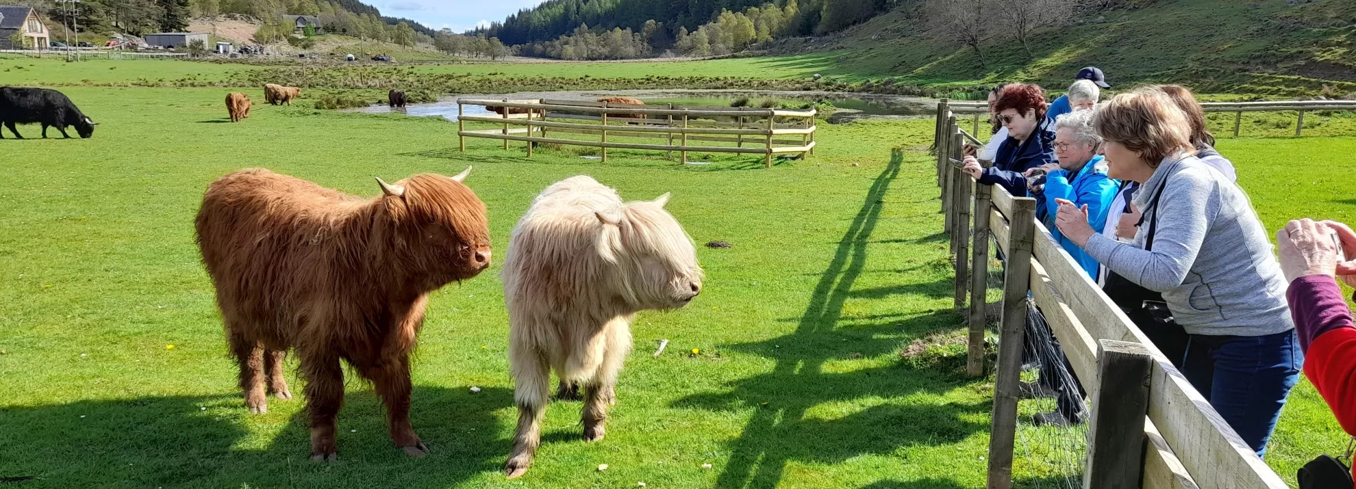 A Scottish Journey
