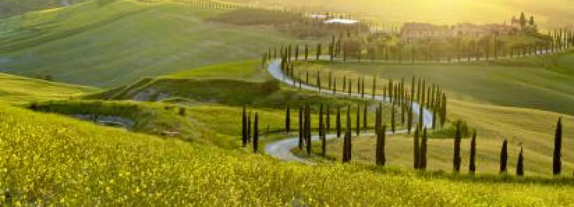 Photo of beautiful Tuscany landscape