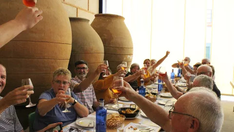 Travellers raising their glasses in a toast at a winetasting event.
