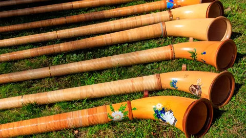 Rows of Alpine horns lay on the ground