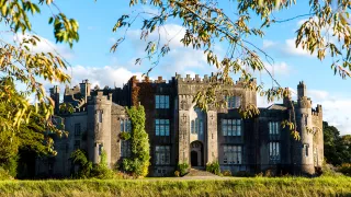 A landscape view of Birr Castle Demesne in County Offaly.