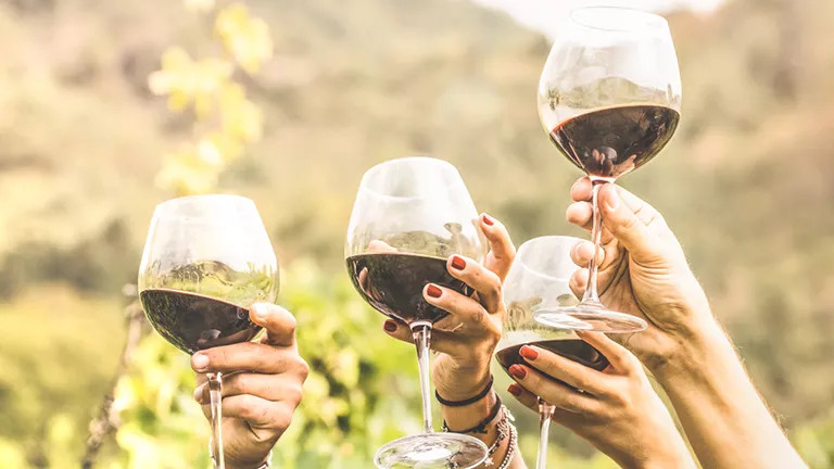 Wine