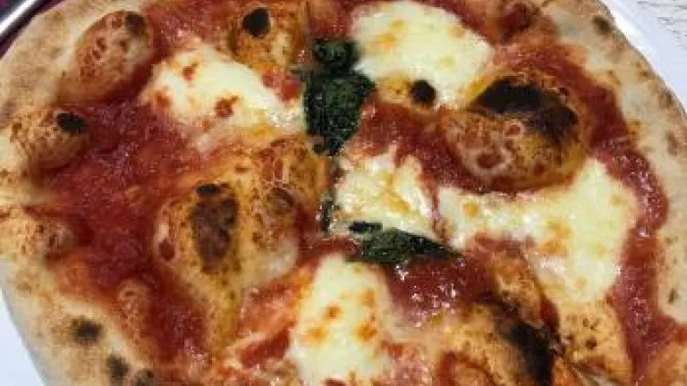 A pizza on a plate
