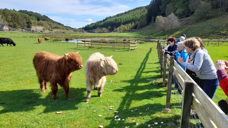 A Scottish Journey