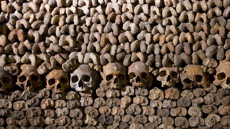Skeletons from the Catacombs of Paris, France