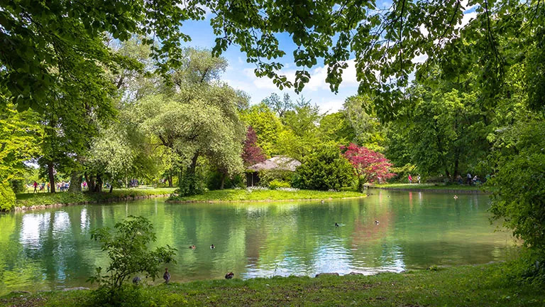 A landscape view of the English Gardens in Munich, Germany