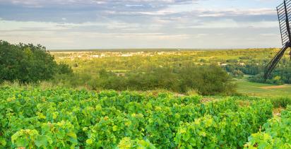 A view of a Vineyard and a medieval style windmill in Burgundy, overlooking the province.