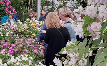 Chelsea Flower Show