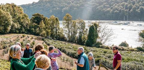 Tourists at Tregothnan estate