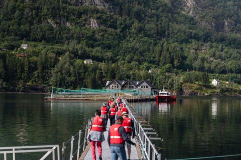 Hardanger Akvasenter Salmon Farm