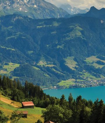 The Swiss flag flapping in the foreground of the Swiss countryside.