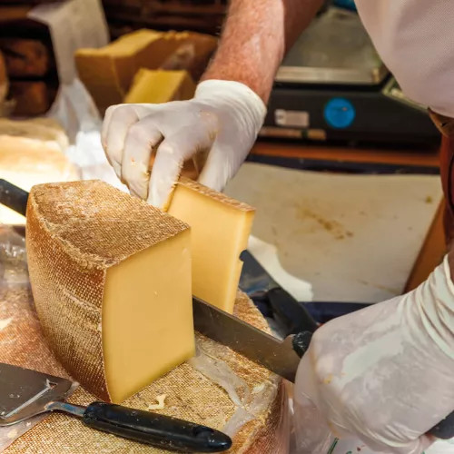 Cheese tasting in the Alps