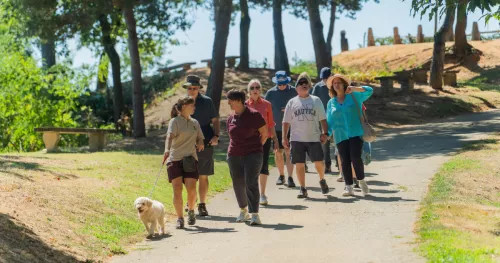 Group walking for a truffle hunt Alba